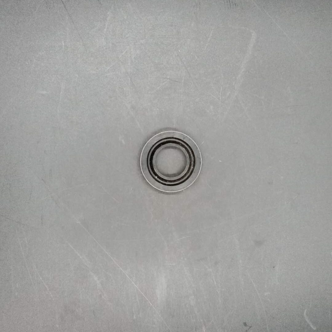 Terex - Seal - 9066154