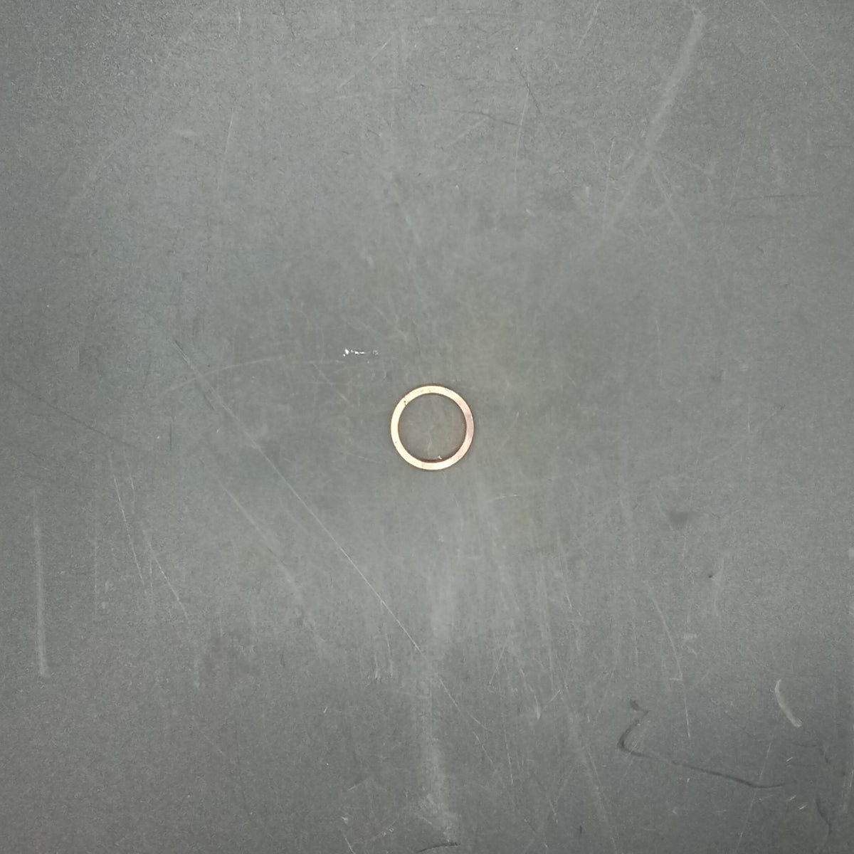 Terex - Seal Ring - 15501705