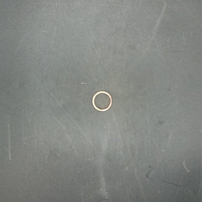 Terex - Seal Ring - 15501705