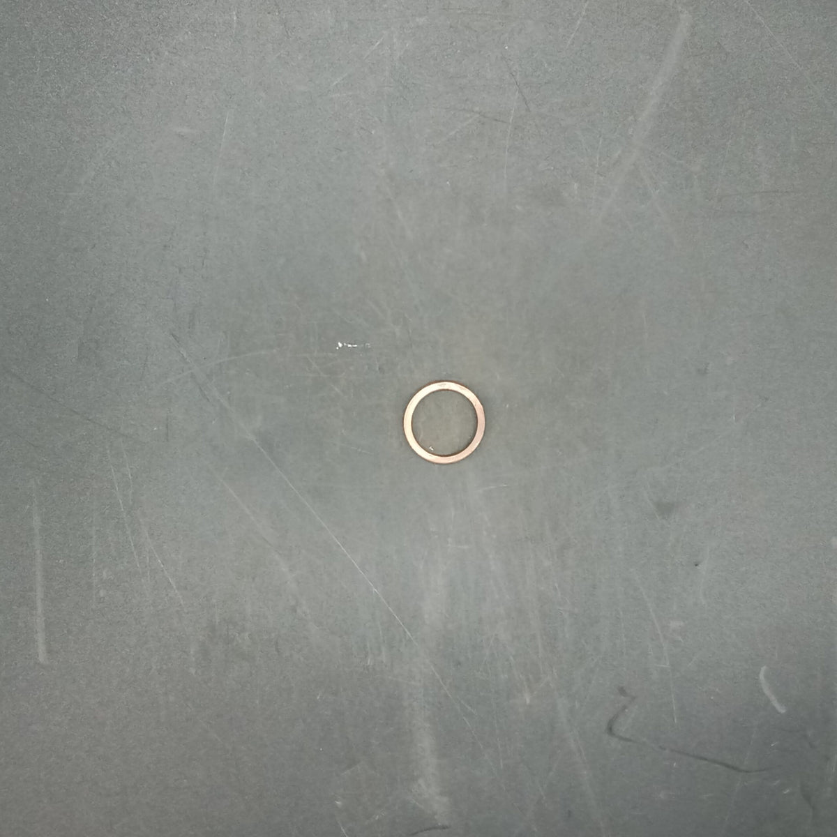 Terex - Seal Ring - 15501705