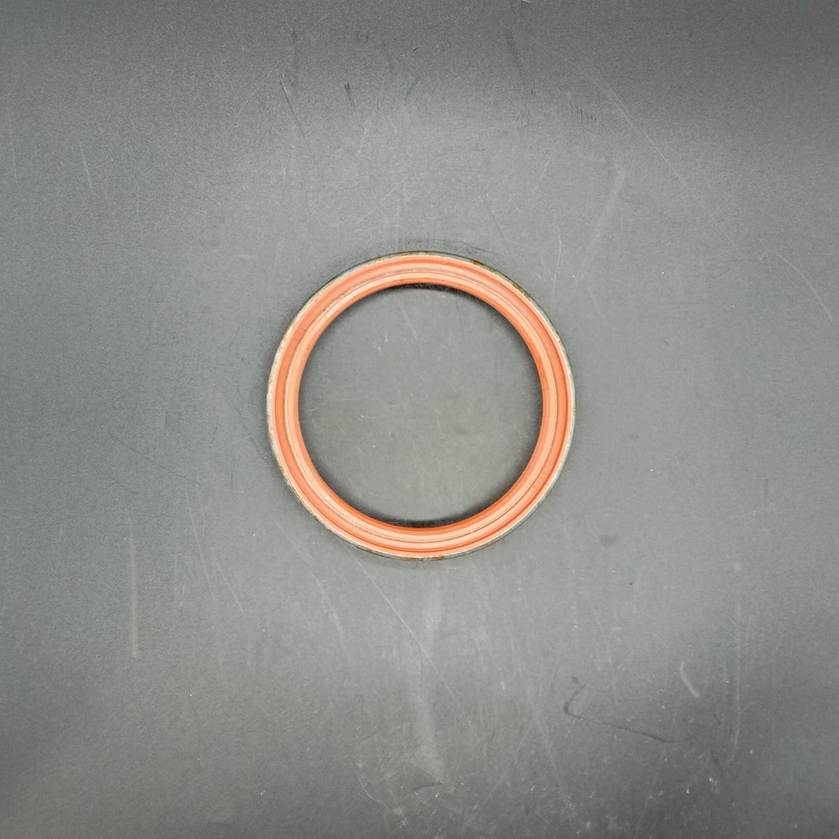 Terex - Oil Seal - 5199477
