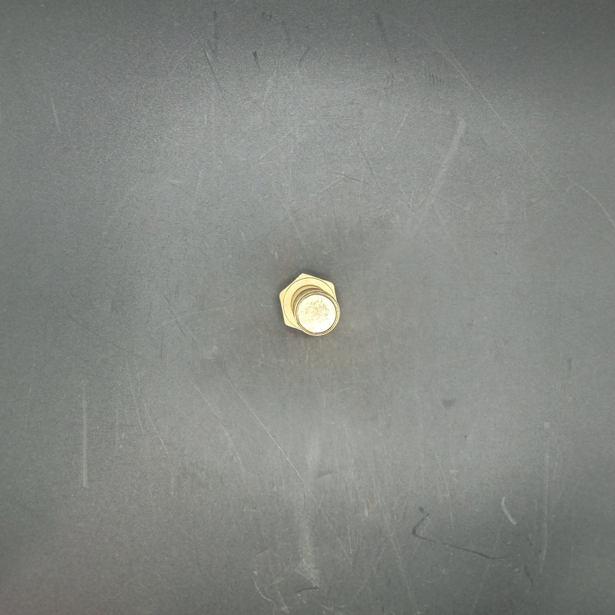 Terex - Bolt - 15245693