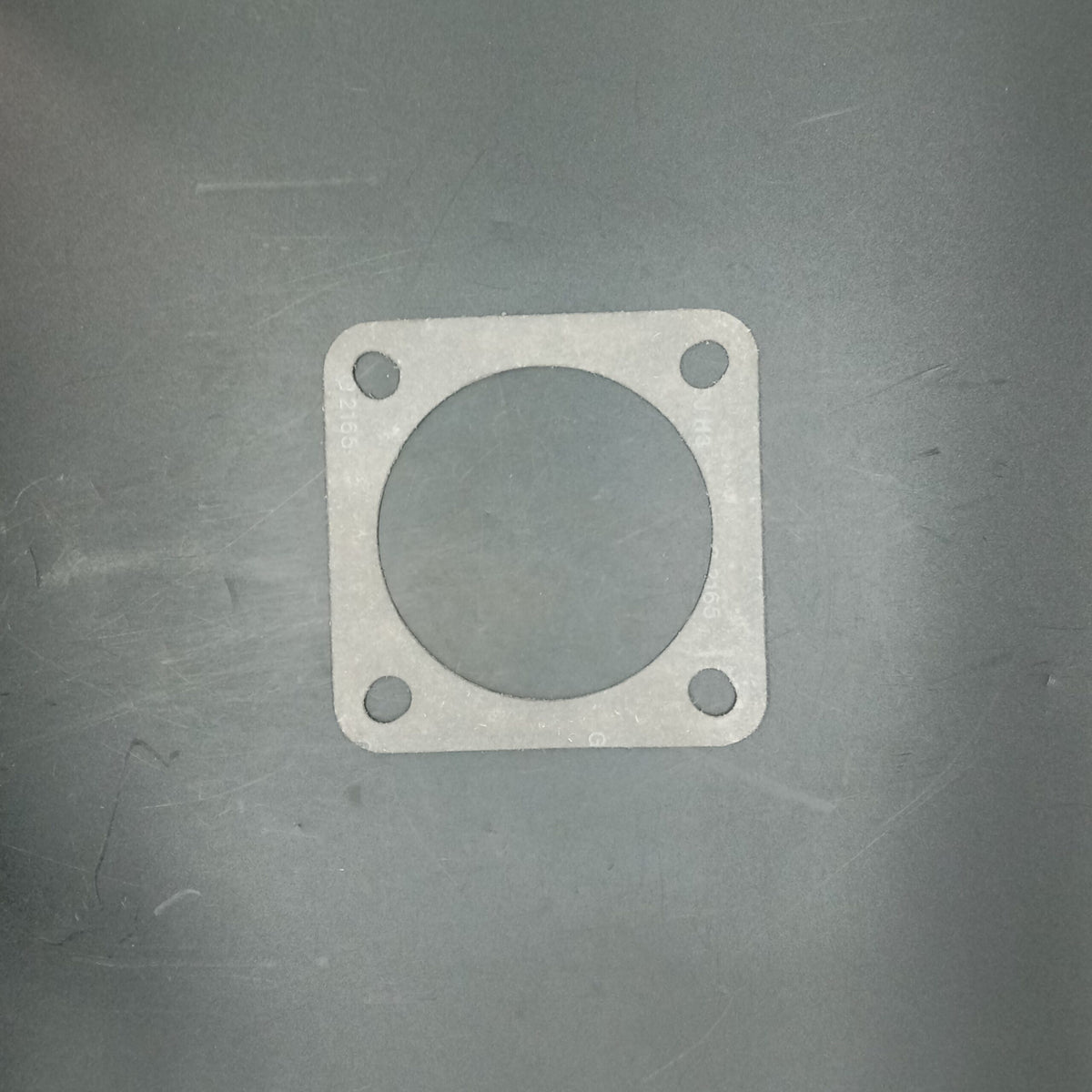 Terex - Gasket - 9105495
