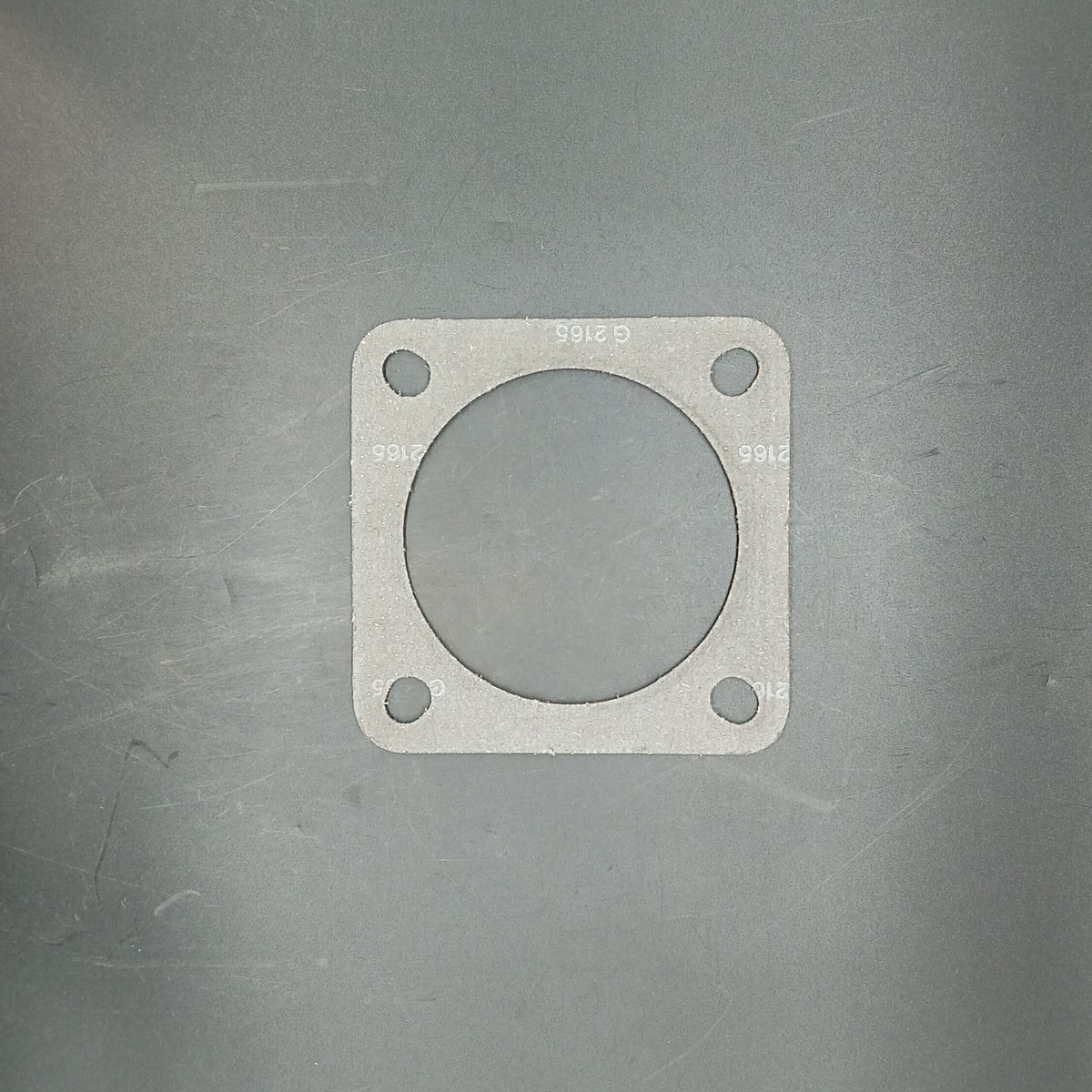 Terex - Gasket - 9105495
