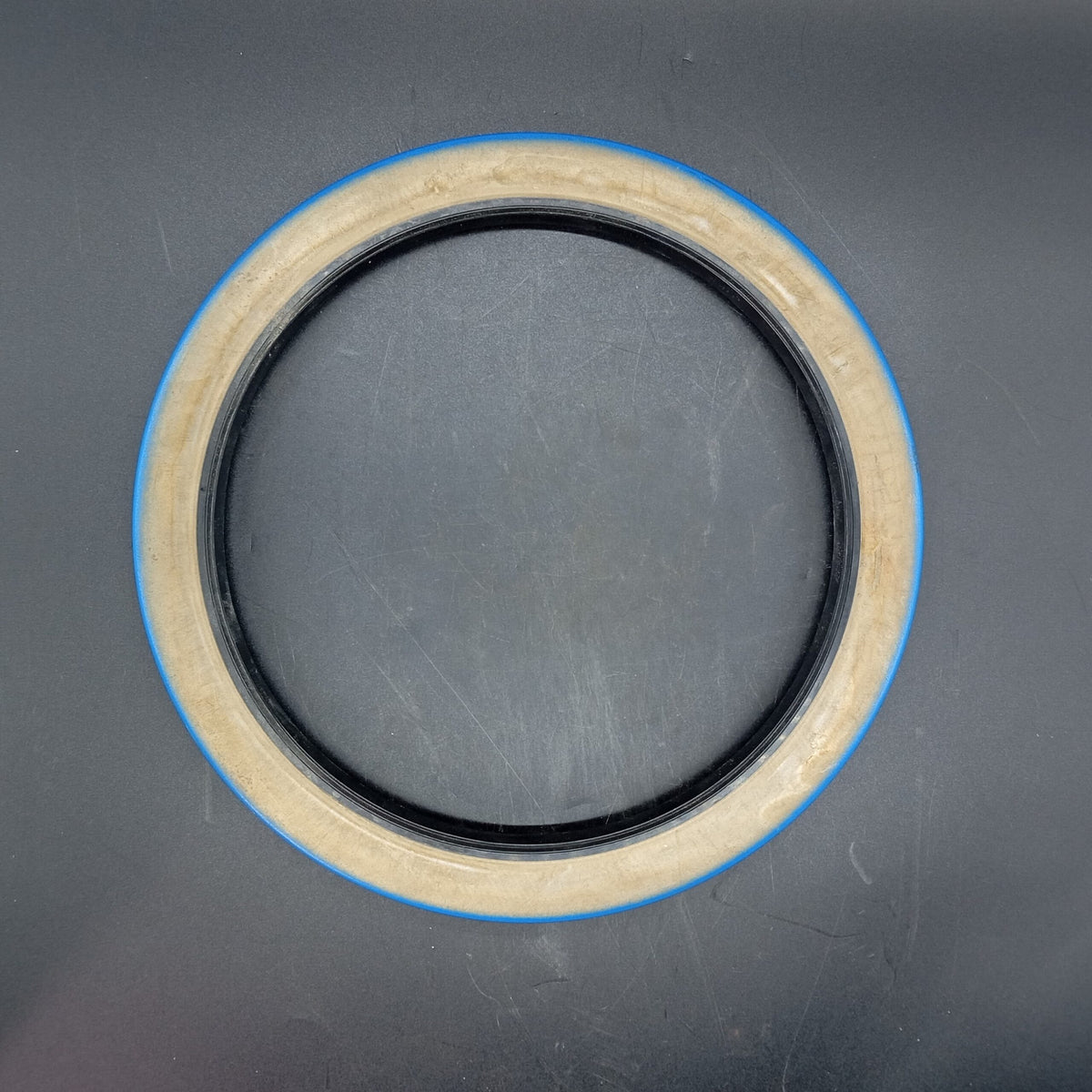 Terex - Seal - 9255535