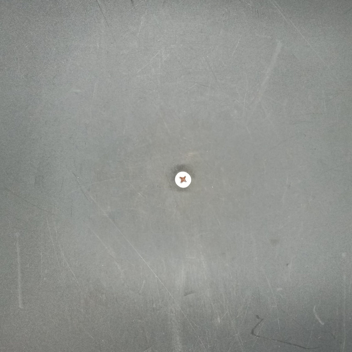 Terex - Screw - 9008070