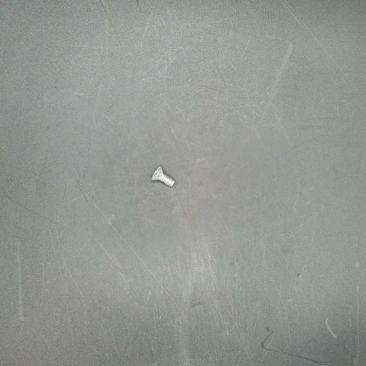 Terex - Screw - 9008070