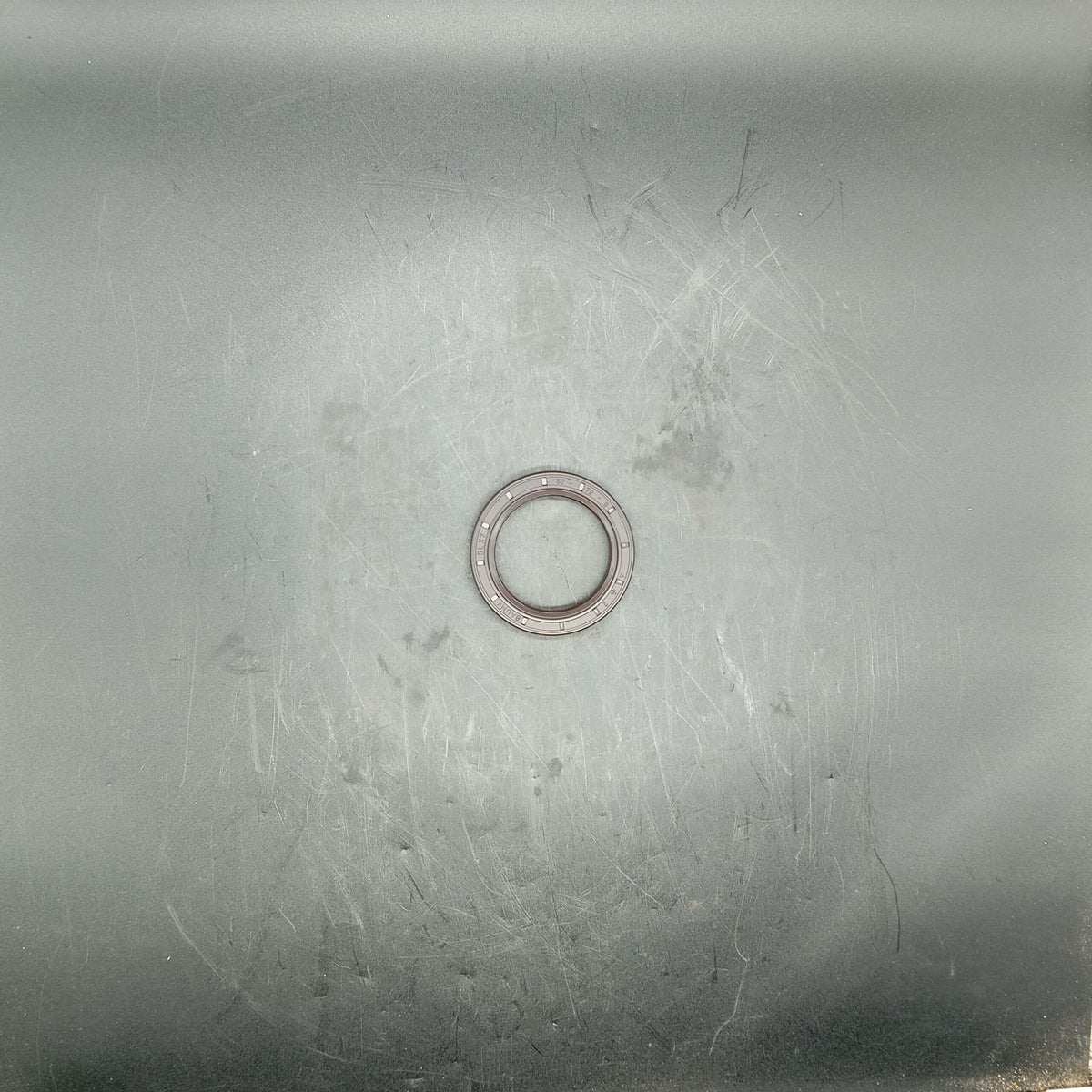 Bell - Seal Oil - 140911