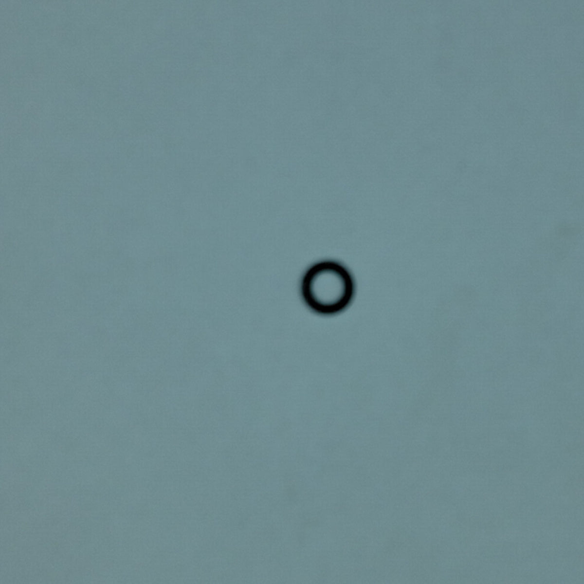 Bell - O-Ring - 140193