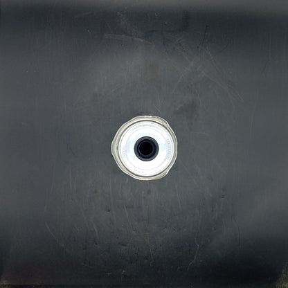 Fram - Diesel Filter - Ps10598