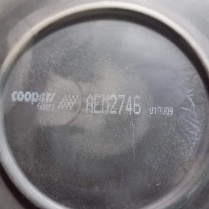 Coopers/Fiaam - Air Filter - Aem2746