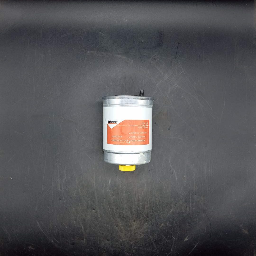 Motorcraft - Fuel Filter - Efg319