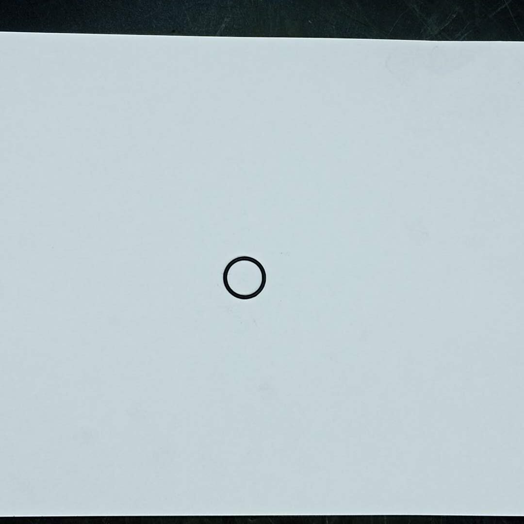 TEREX - O-RING - 2405320