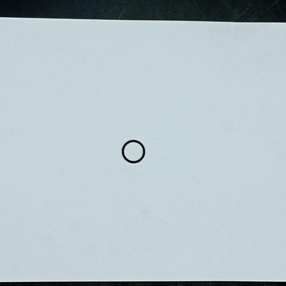 TEREX - O-RING - 2405320