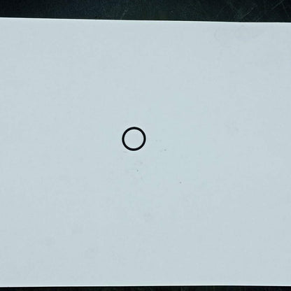 TEREX - O-RING - 2405320